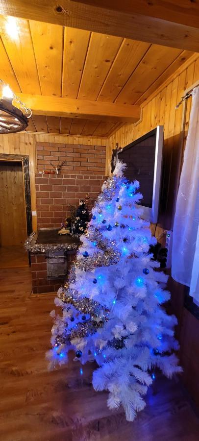 Kotiedzh U Mariny Vila Yaremche Exterior foto
